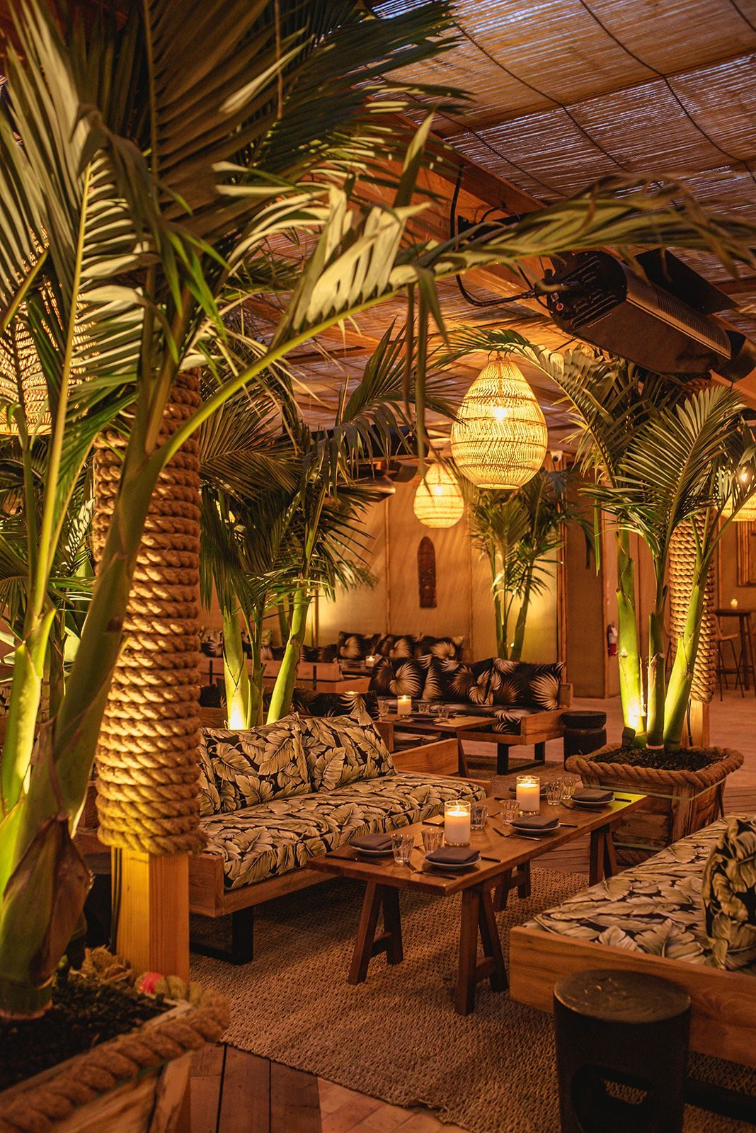 Ambiente de SIDAMO con plantas y decoración cálida